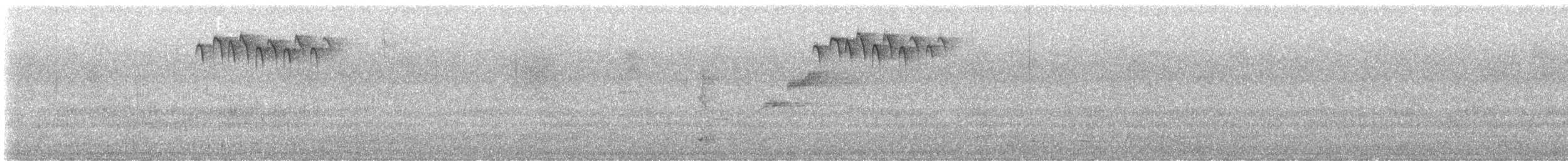 Southern Emuwren - ML623221078