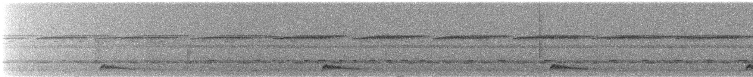 Chotacabras Ocelado - ML623221787