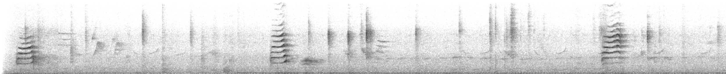 Camaroptère à tête grise (groupe brachyura) - ML623225802