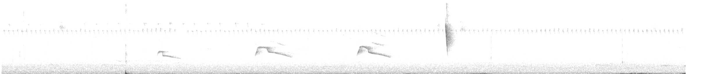 Accipitrine hawk sp. (former Accipiter sp.) - ML623232352