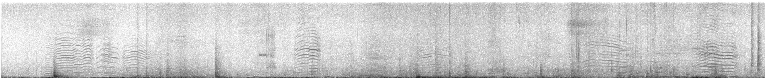 Great Shearwater - ML623258395