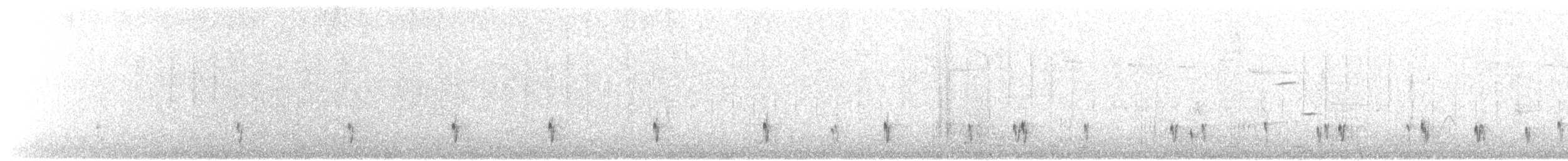 Silvery Grebe - ML623271183