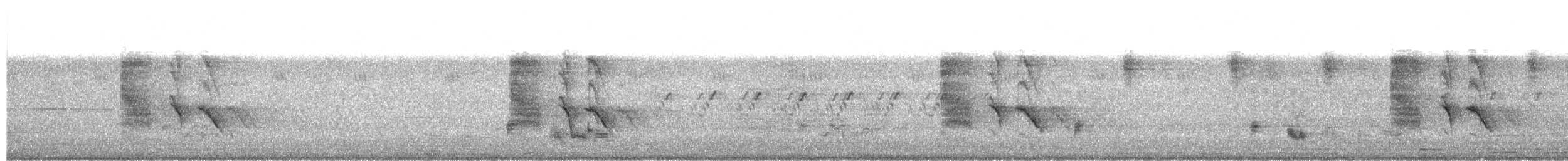 svartdrongo - ML623273601