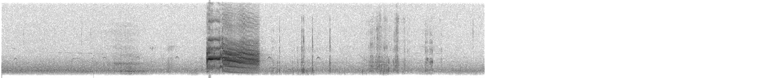 ボナパルトカモメ - ML623282981