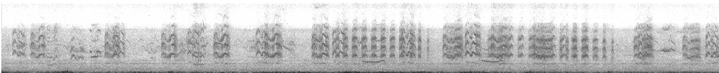 splitterne - ML623292857