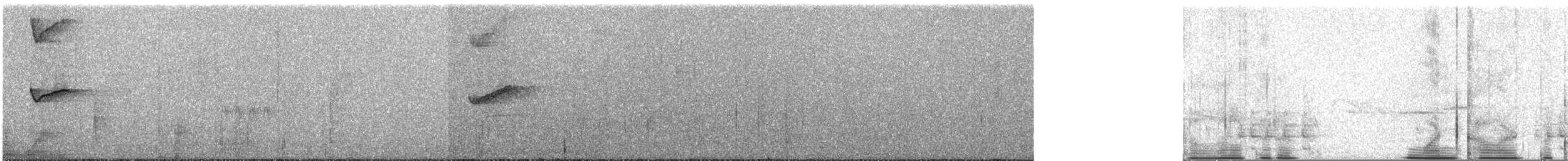One-colored Becard - ML623294370