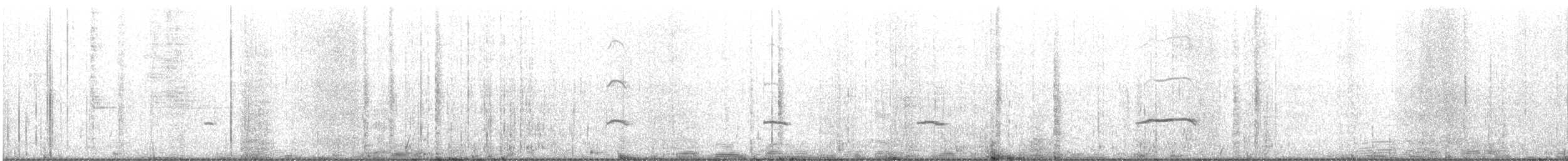 Black-footed Albatross - ML623310037