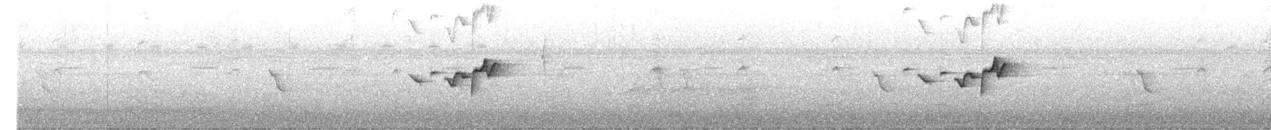 Isthmian Wren - ML623320489