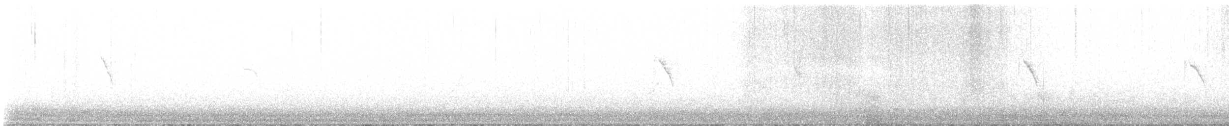 ニシツメナガセキレイ - ML623321573