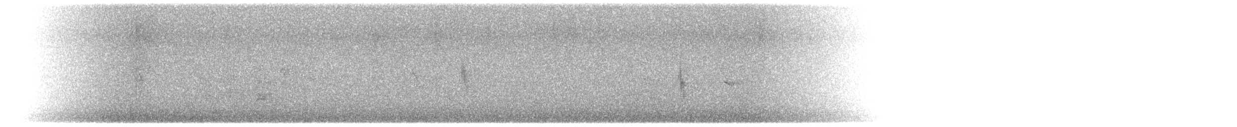 Greater Short-toed Lark - ML623322854