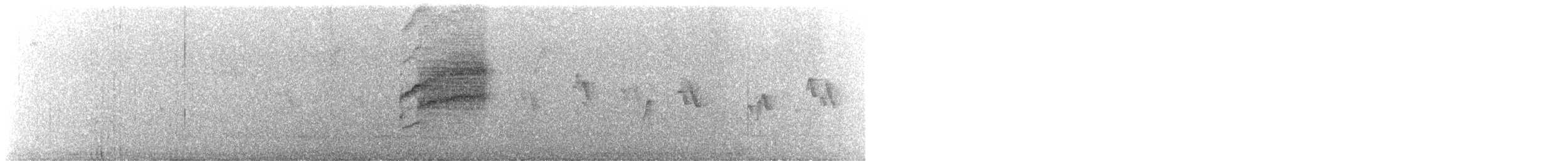 Tyranneau à sourcils blancs - ML623333638