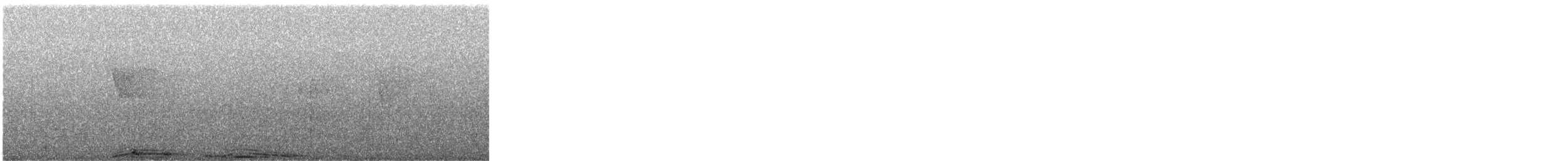 Purpurbrust-Fruchttaube - ML623336368