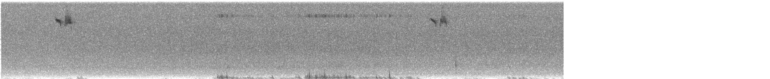 Southern Emuwren - ML623341295