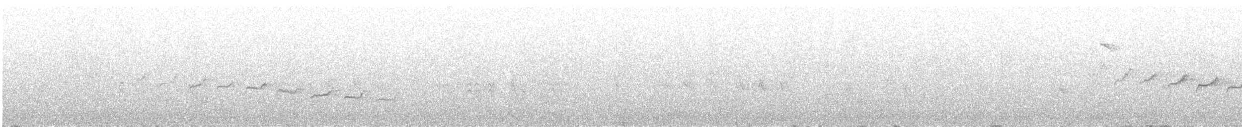 Canyon Wren - ML623349120