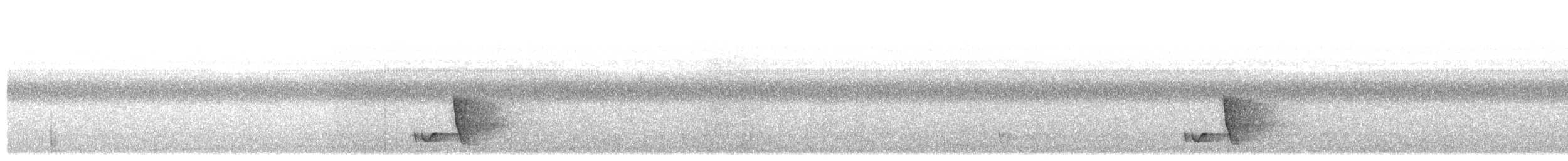 Petroica Flanquinegra - ML623353501