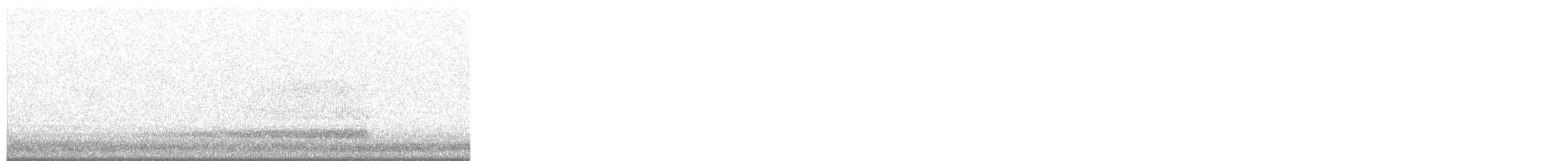 Western Barn Owl - ML623357803