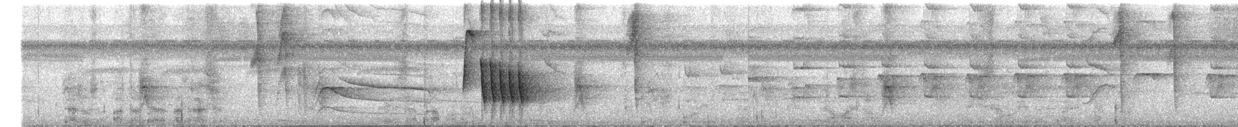 Kastanienzaunkönig (nigricapillus/connectens) - ML623363163