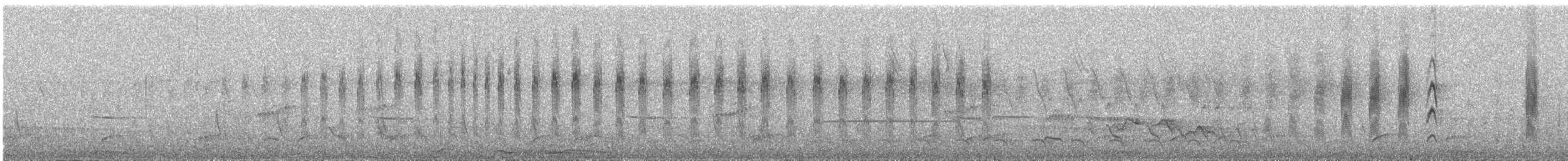 Chestnut-collared Swift - ML623365281