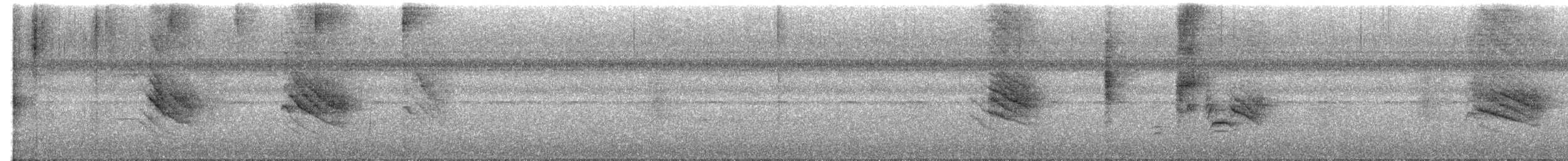 Tawny-faced Gnatwren - ML623374893