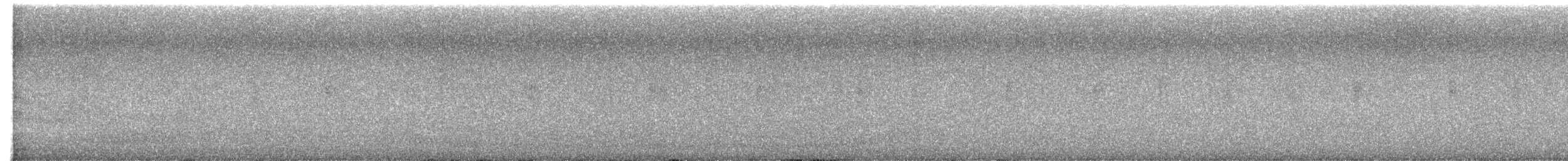 Louisiana Waterthrush - ML623374916