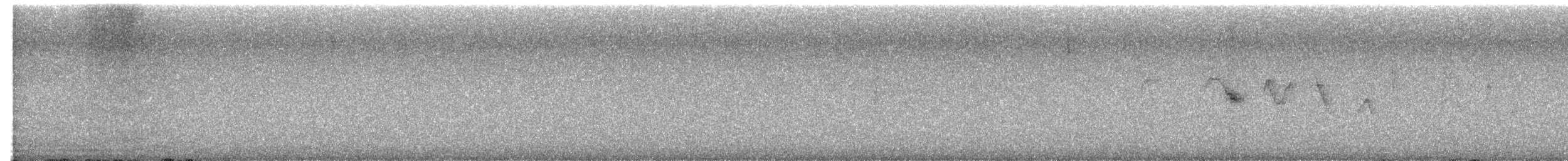 Louisiana Waterthrush - ML623374921