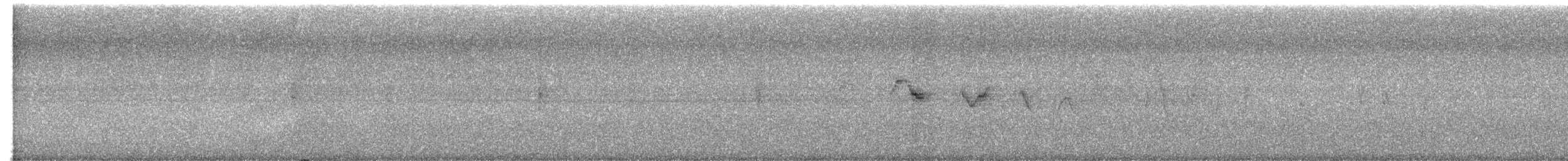 Louisiana Waterthrush - ML623374922