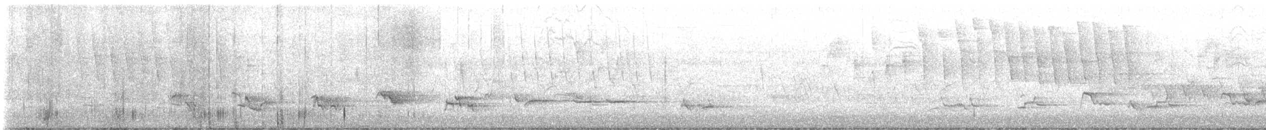 Tennessee Warbler - ML623379637
