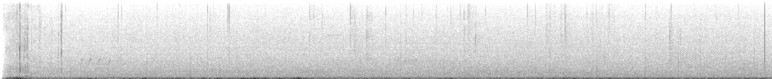 bartramie dlouhoocasá - ML623384028