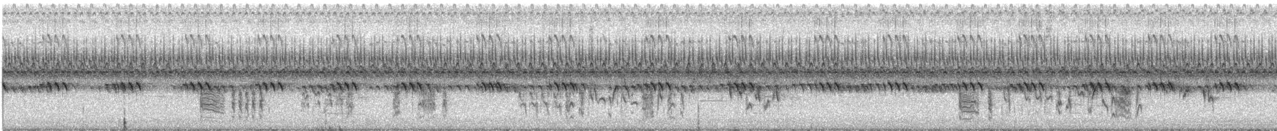 Troglodyte familier - ML623390405