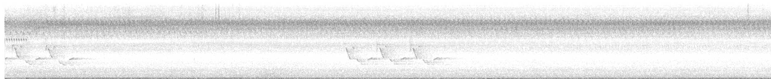 Troglodyte de Caroline - ML623391154