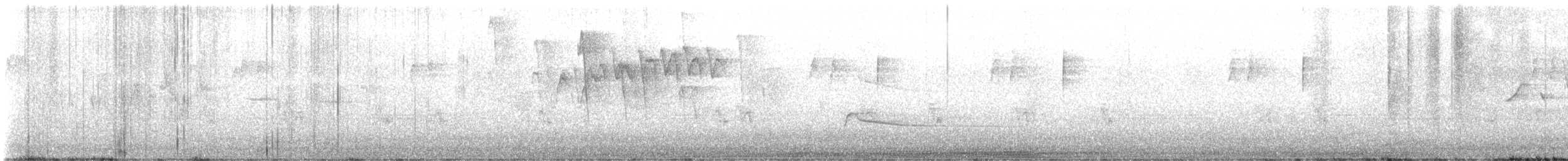 Bay-breasted Warbler - ML623391820