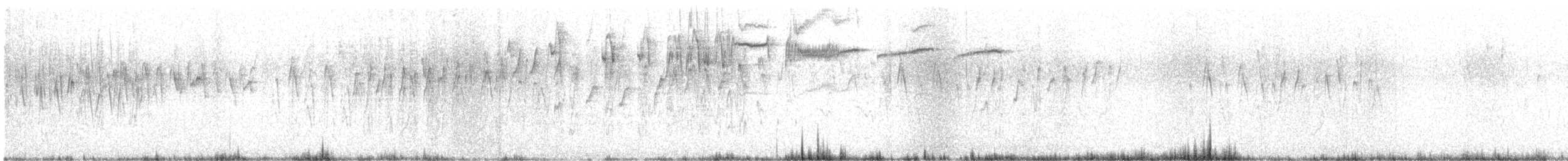 Maskenhakenschnabel - ML623417180