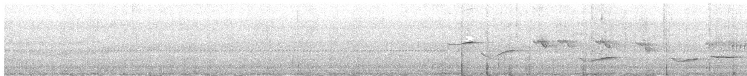 Buztanikara argia - ML623421113