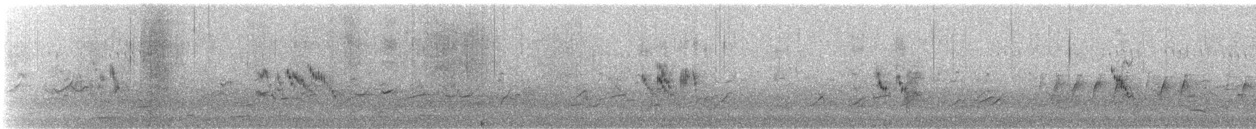 Australian Pipit - ML623423167