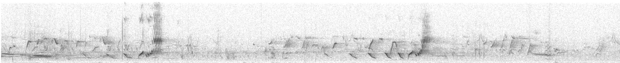 Gray Shrikethrush - ML623423334