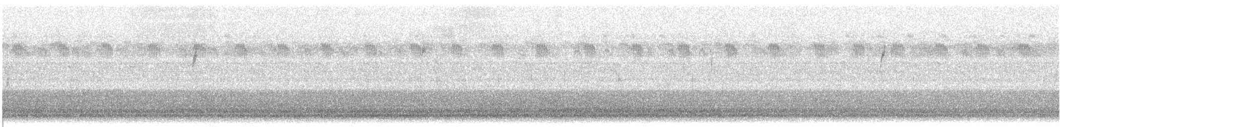 new world warbler sp. - ML623437488