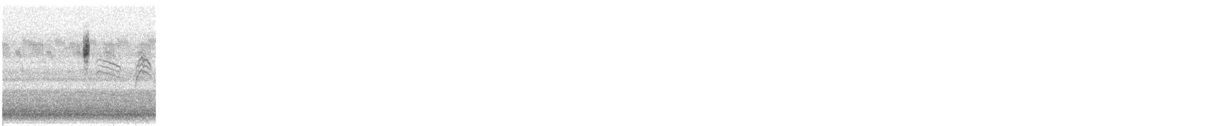 new world warbler sp. - ML623437510