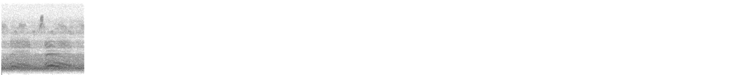 new world warbler sp. - ML623437520