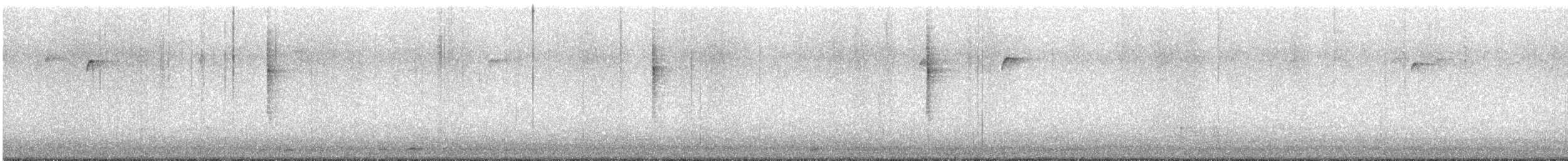 Black-throated Gray Warbler - ML623447122