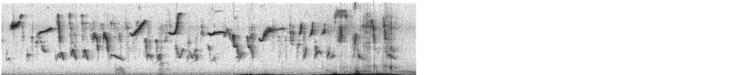 Tohi à nuque claire - ML623449447