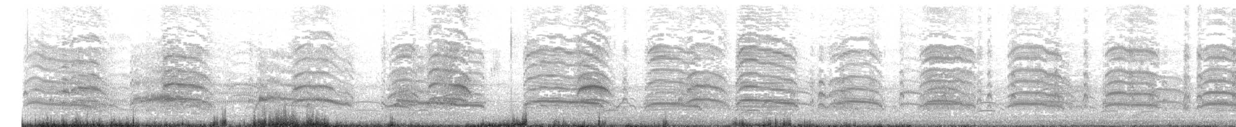 Mouette de Patagonie - ML623450167