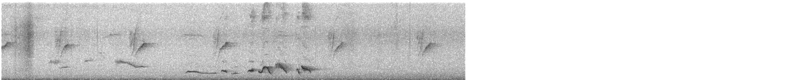 White-rumped Shama - ML623460289