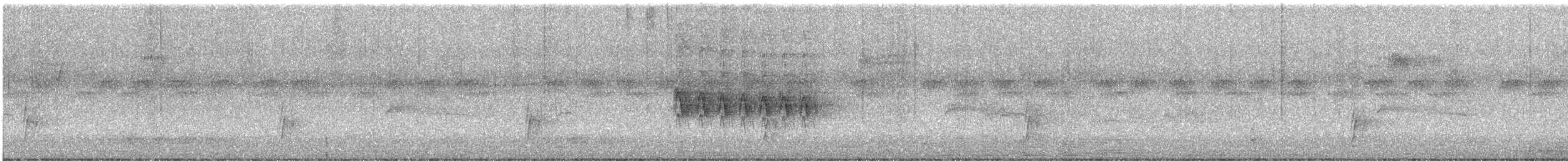 Swainson's Thrush (Russet-backed) - ML623460294
