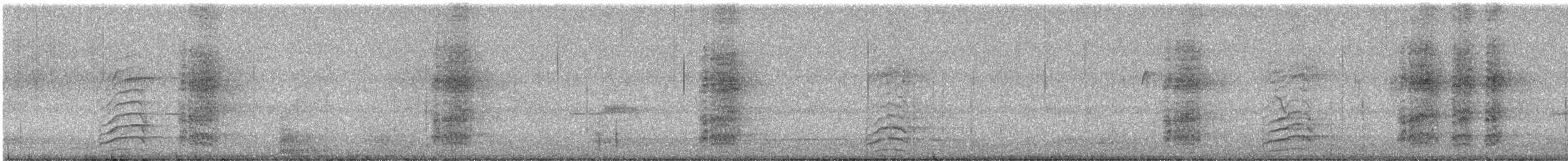 Acorn Woodpecker - ML623460555