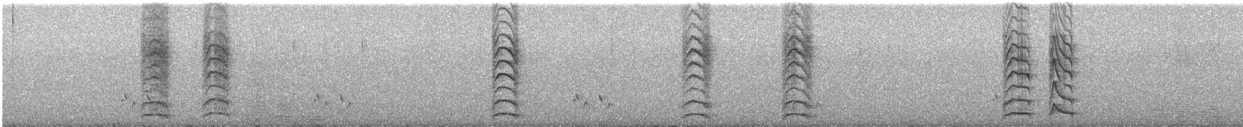 Gelbscheitel-Honigfresser - ML623466578