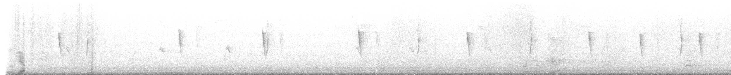Least Flycatcher - ML623472619