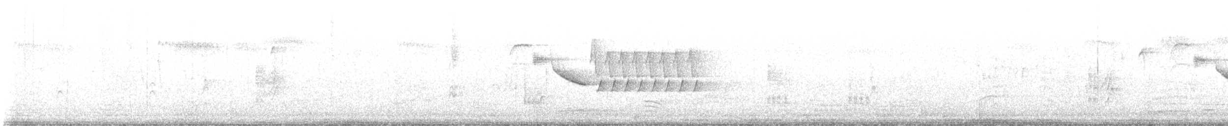 Bewick's Wren - ML623474055