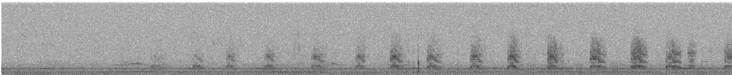 Graylag Goose (European) - ML623475232