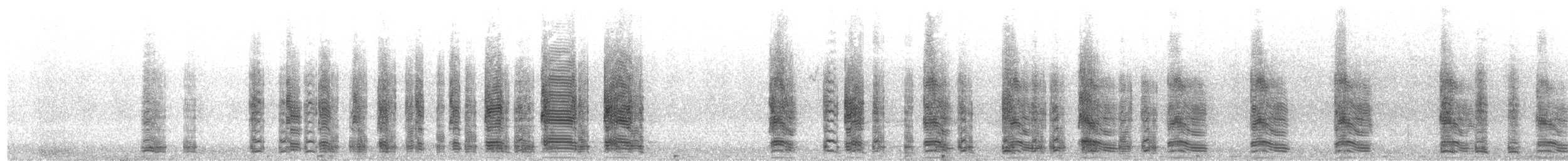 Бор галуу - ML623477440