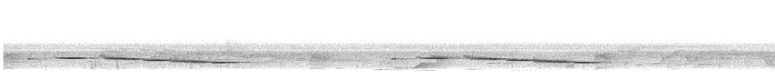 Siffleur sobre - ML623479414